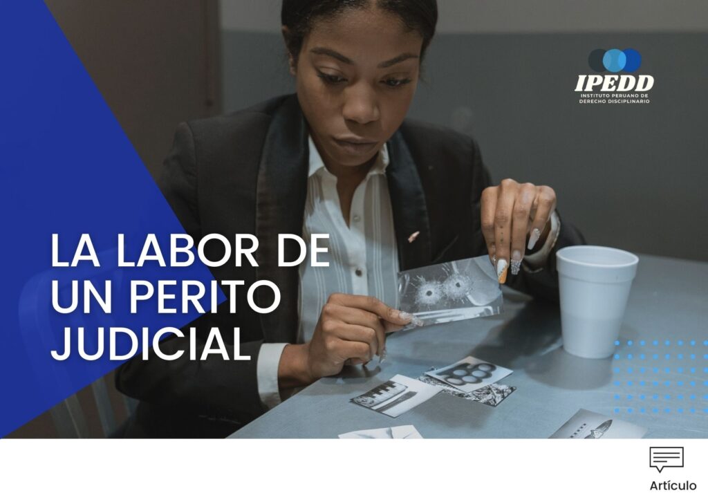 XIOMIRA LA LABOR DE UN PERITO JUDICIAL